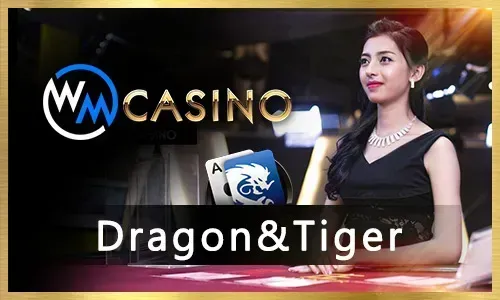 Secure online gaming platform with various payment methods and 24/7 customer support